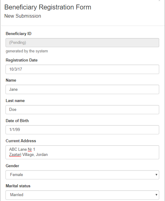 Example of beneficiary registration form in ActivityInfo 2.0.