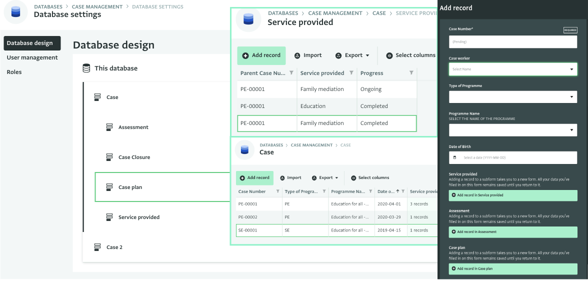 Database example for case management