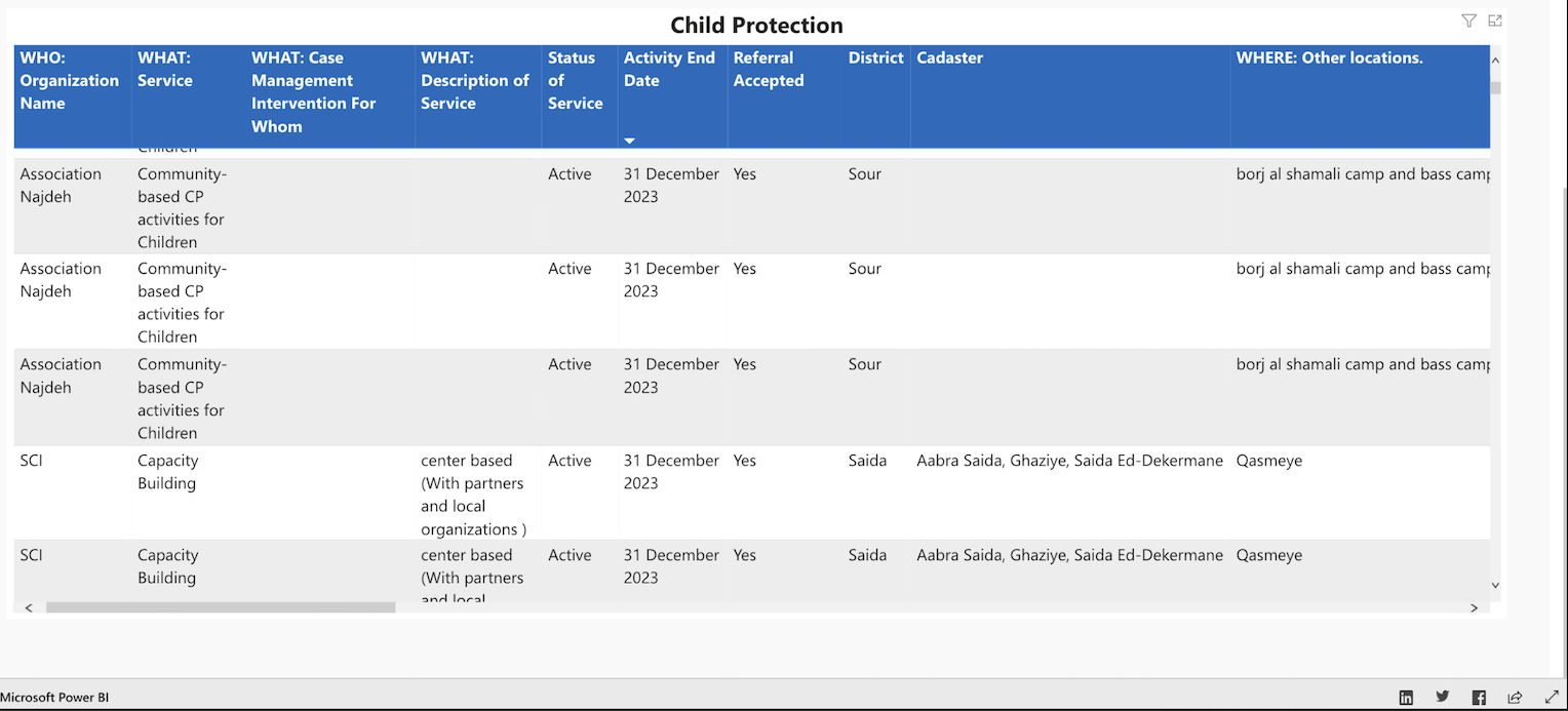 Lebanon Child Protection activities