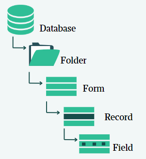 How data is organized in ActivityInfo