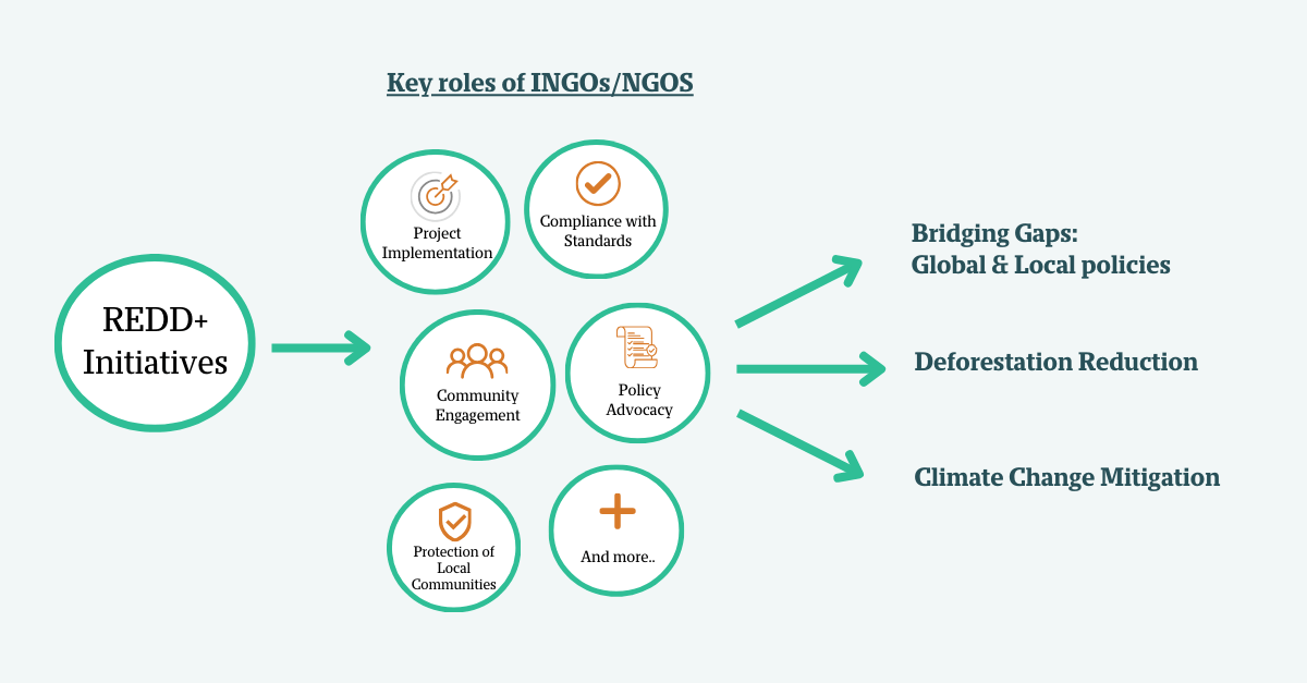 REDD+ initiatives and the roles of INGOs and NGOs