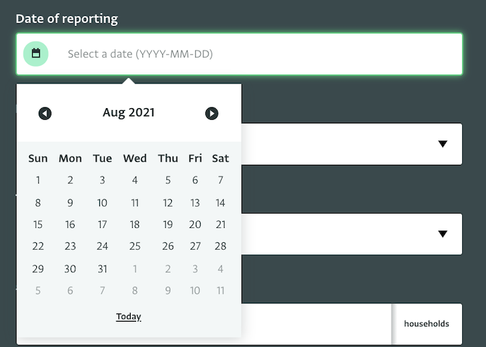 Date field in data entry